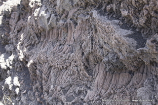 rra delle Concazze-05-08-2014 11-53-06